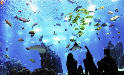 Expo Boutique@ Free Parking/ Balcony/ Lift/ AC 47 Hansi Home