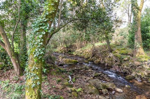 La Cabaña del Arroyo Pasiego 28 Estandar 24