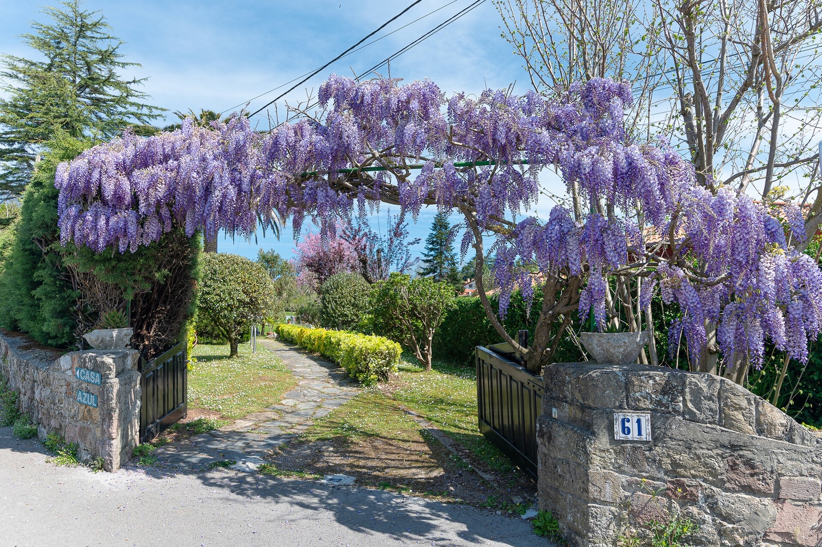 Villa Glicinia Estandar 24