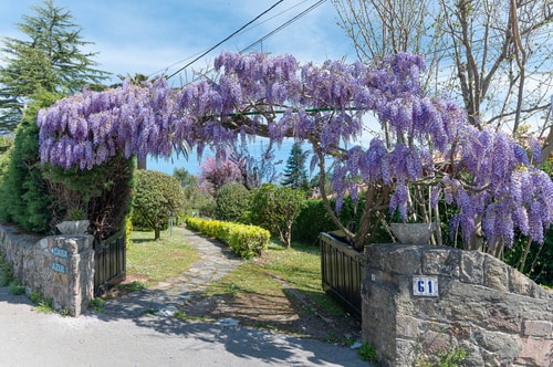 Villa Glicinia 0 Estandar 24