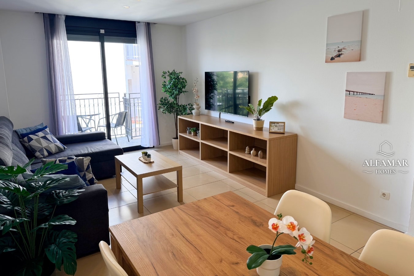  3 Alfamarhomes.com
