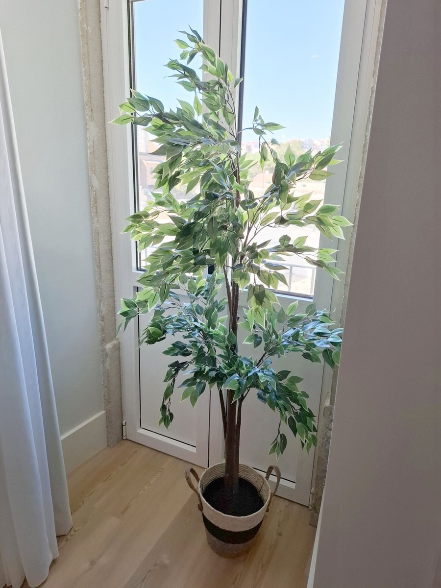 Apartment 307 • Lisbon • 1 bedroom • Balcony • A/C gallery image 12