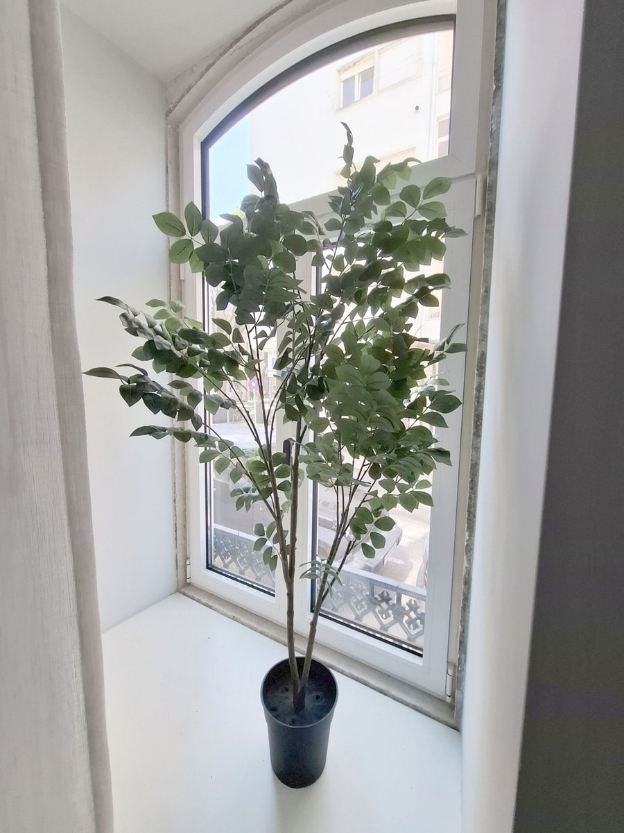 Apartment 106 • Lisbon • 1 bedroom • Elevator •A/C gallery image 11