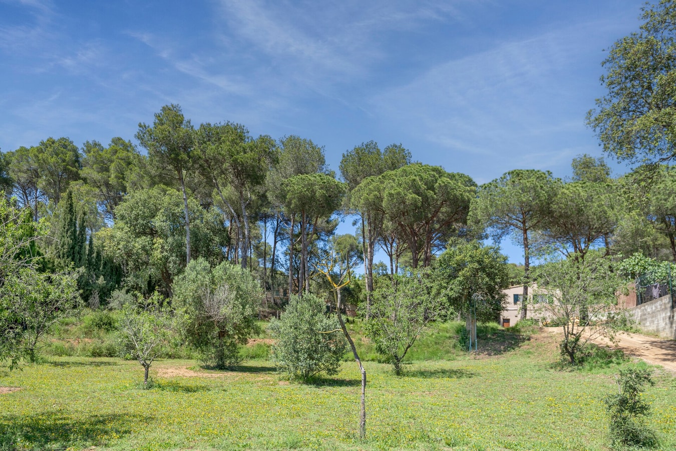 LA VINYA - Casa con parking y piscina 30 WeHost Costa Brava