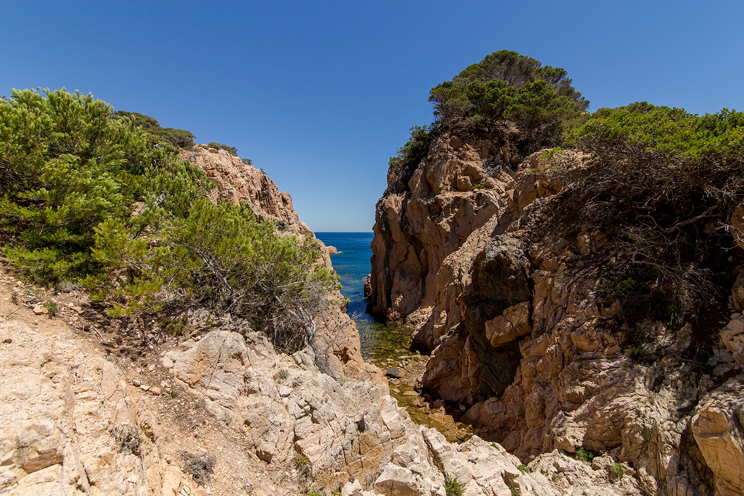 La Roncadora - Villa con vistas al mar y piscina 41 WeHost Costa Brava
