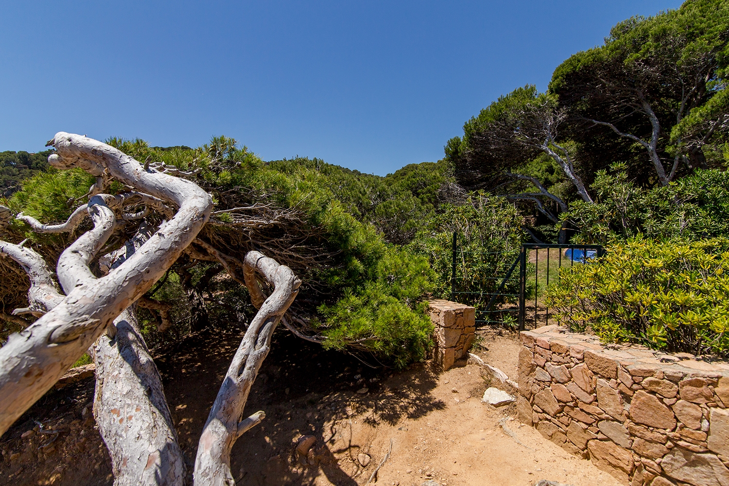 La Roncadora - Villa con vistas al mar y piscina 40 WeHost Costa Brava