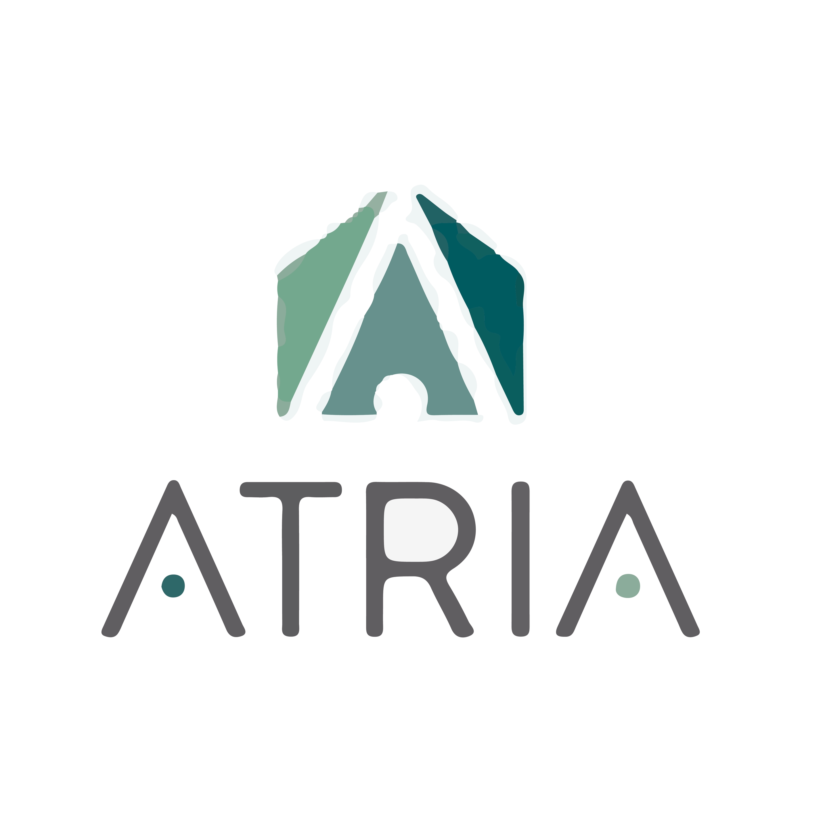 Atria Stays