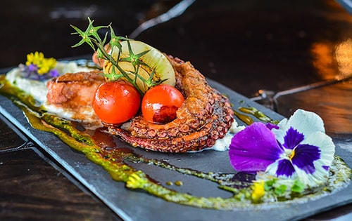 Sea View & infinity pool apartment in Kaliakria 88 33 Управление | Gmp Global Property Management