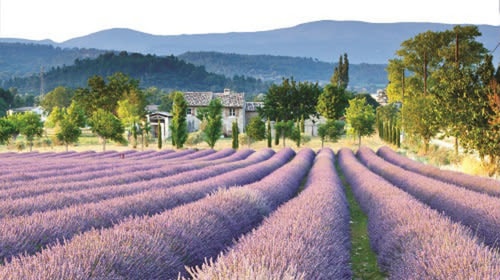 Les Cypres Getaway 8 Guest Pool Coffee Fast Wif