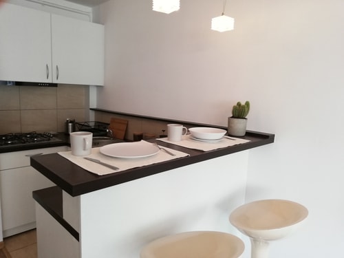 Modern apartment on Bagno St. in Center of Warsaw 3 NESTARO