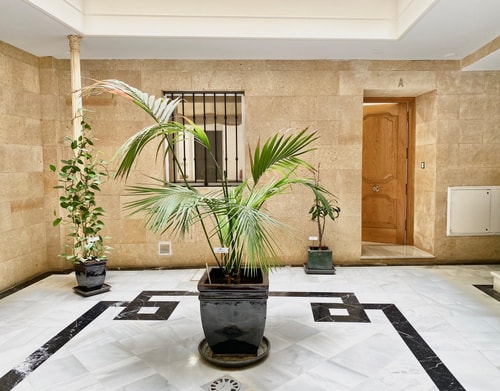  6 Apartamentos Angar