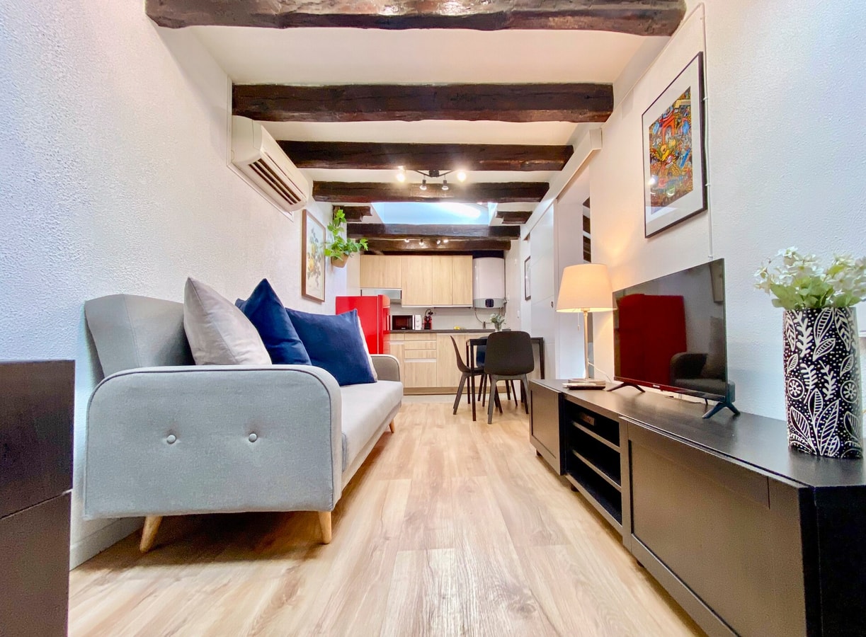 Malasaña Attic · 1 dormitorio con A/A · apartamento en Malasaña · foto 1 de 19