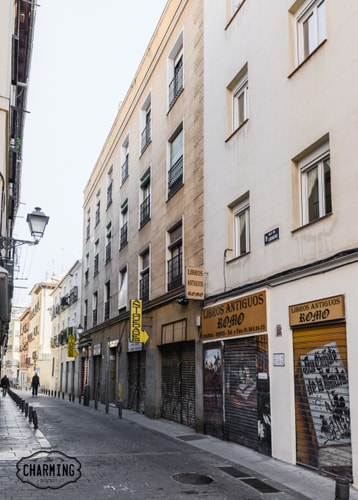 Antiques Market · Bright, 3 bedrooms and parking · photo 35 · Only Charming, Madrid