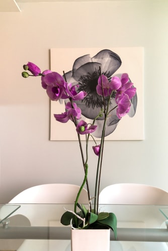 Chueca Apartment 1 · 2 dormitorios, 2 baños y A/A · foto 11 · Only Charming, Madrid
