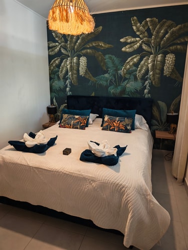 Votre T2 COSY au CALME proche du zoo