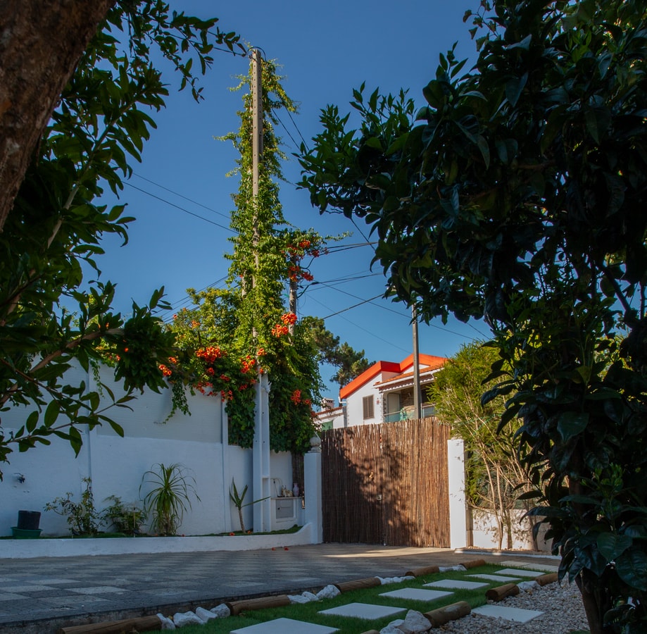Aroeira Garden by Hommelier gallery image 16