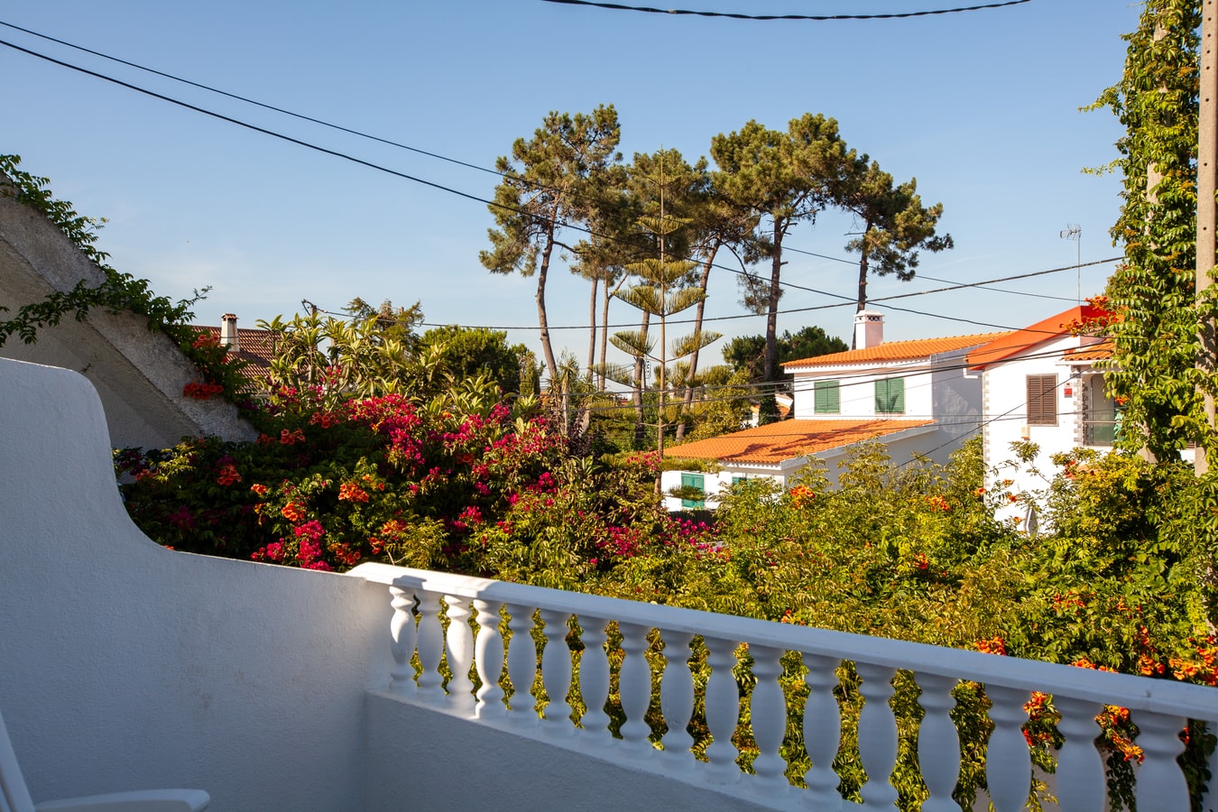 Aroeira Garden by Hommelier gallery image 9