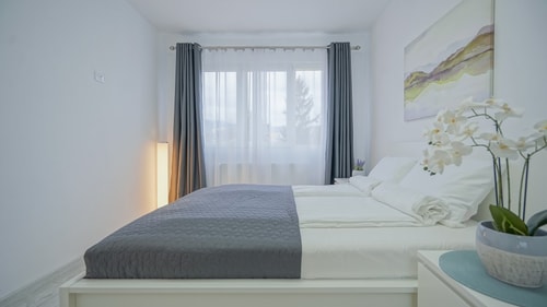 Mountain Hideaway w. Netflix & Mountain View 24 SocialSpot