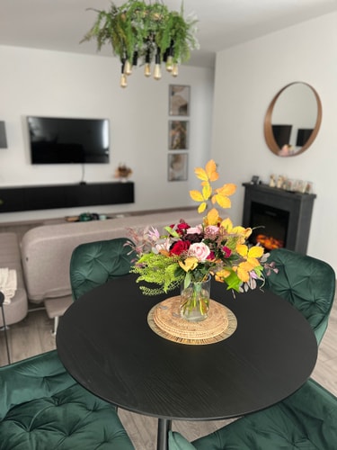 Scandiland Apartment 12 SocialSpot