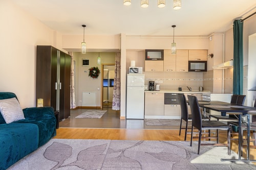 Ski View Apartment Predeal 15 SocialSpot