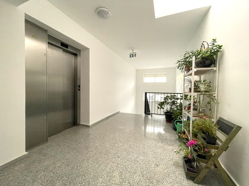 Blue Jay's Nest — AC & Stylish Terrace 34 SocialSpot