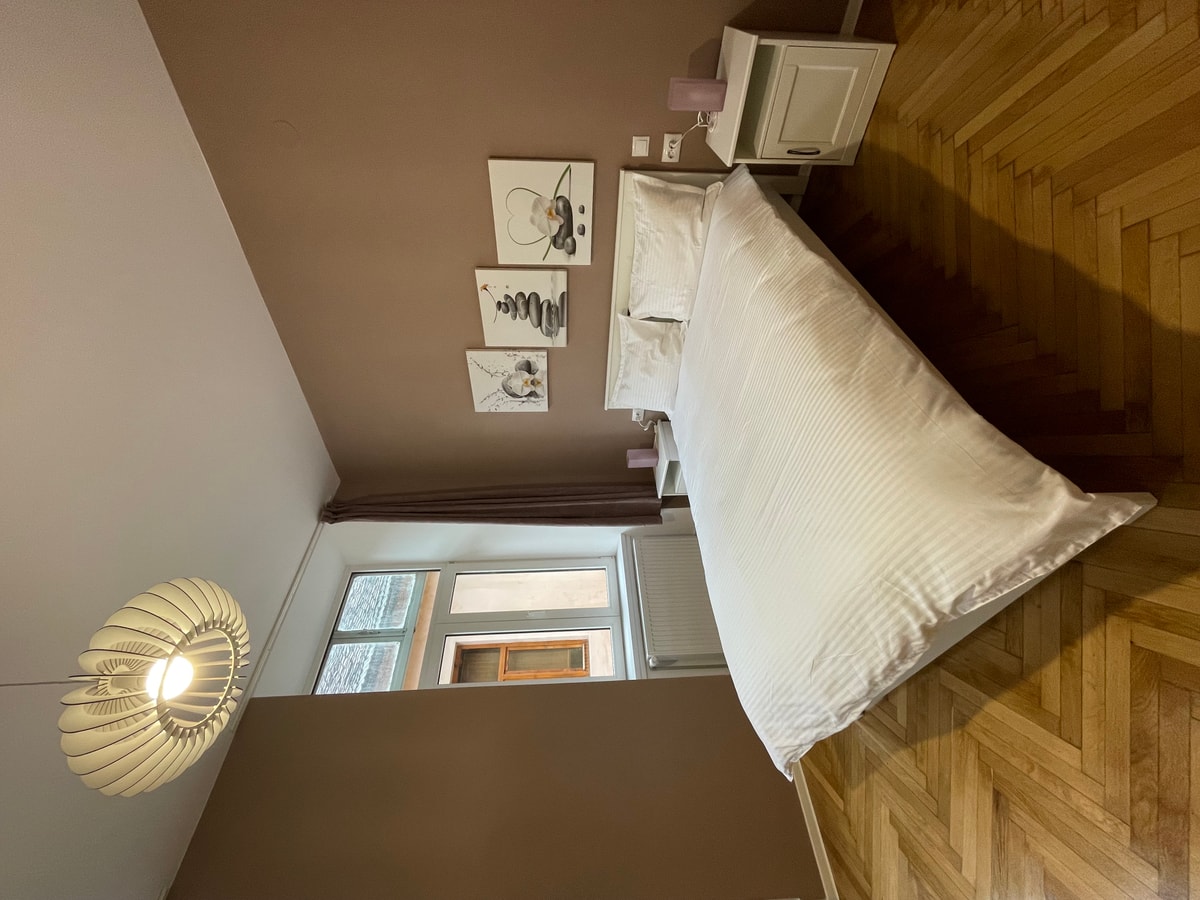Schei Central Studio 2 in the heart of Brasov SocialSpot