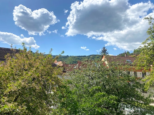 Rose’s OldTown Place - Walkable & Quiet 23 SocialSpot