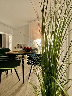 Scandiland Apartment 16 SocialSpot