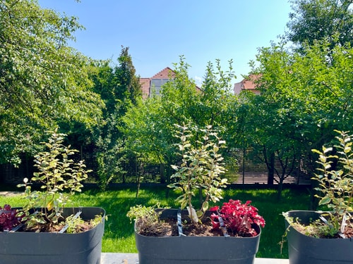 Citadel Signature Villa w. private garden, parking 7 SocialSpot