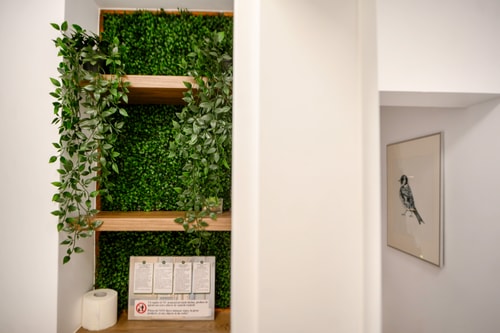 Central Green Oasis • 2BR Ultracentral Apt • AC 46 SocialSpot