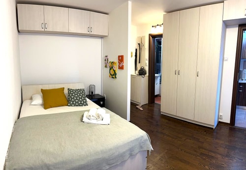 Studio Victoriei - Central Location with AC 10 SocialSpot