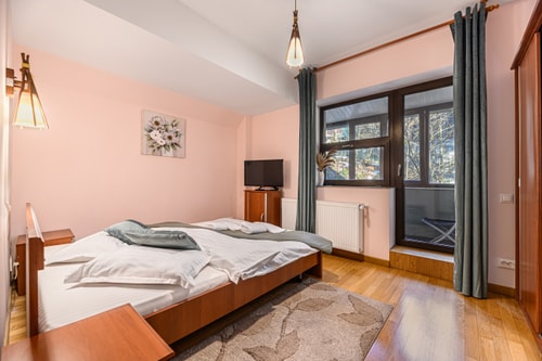 Ski View Apartment Predeal 1 SocialSpot