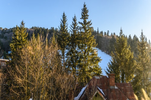 Ski View Apartment Predeal 25 SocialSpot