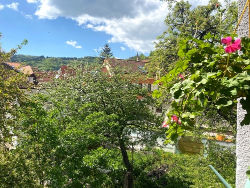 Rose’s OldTown Place - Walkable & Quiet 25 SocialSpot