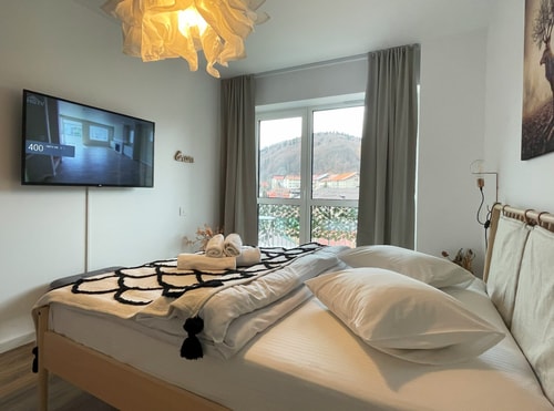 RoseWood Boutique Apartment - In Green Future Spa 28 SocialSpot