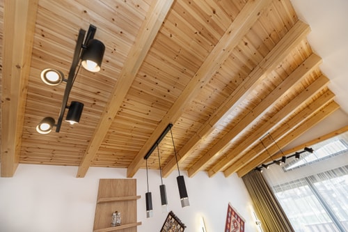 Selva Cabins · Unforgettable Transylvanian Escape 48 SocialSpot