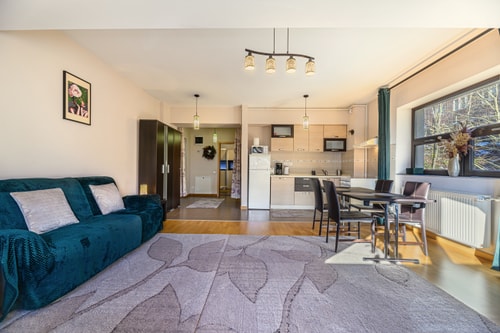 Ski View Apartment Predeal 7 SocialSpot