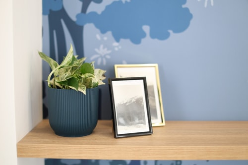 Victorian Blue Studio 31 SocialSpot