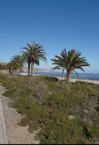 Escape Las Terrazas de Las Salinas 43 SocialSpot