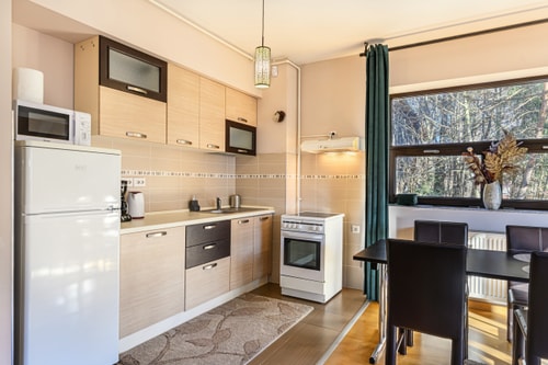 Ski View Apartment Predeal 4 SocialSpot