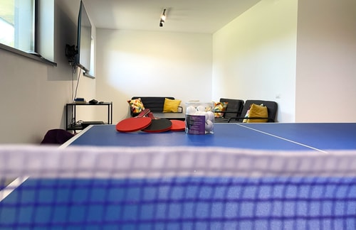 Nicme Villa Bran: Game Room & Barbecue 21 SocialSpot