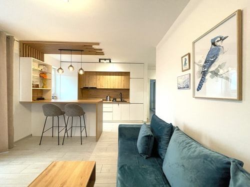 Blue Jay's Nest — AC & Stylish Terrace 8 SocialSpot