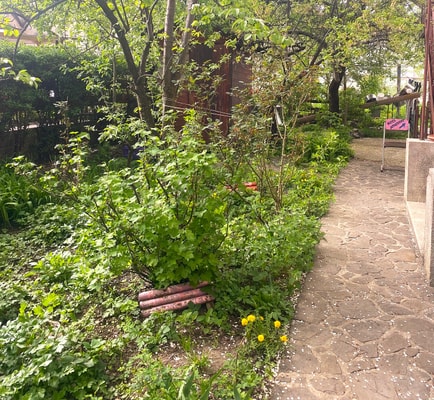 Rose’s OldTown Place - Walkable & Quiet 22 SocialSpot