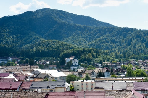 Forest View Hideaway - Amazing View & Free Parking 48 SocialSpot