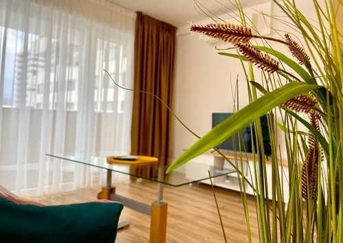 Carpatilor Urban Escape Studio - Free Parking & AC 19 SocialSpot