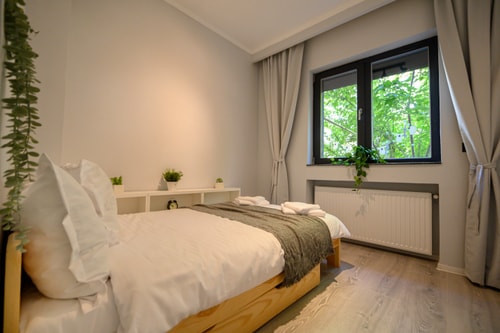 Kiseleff Flat 11 SocialSpot