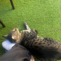 Keysel
