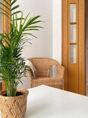 VibesFerrol-Veiga 4 1 Apartamentos en Alquiler - Vibes Coruña