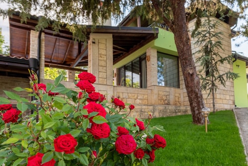 *Villa Apple* 3 BR Luxury Villa PRV pool & BBQ 1 Balchik Villas