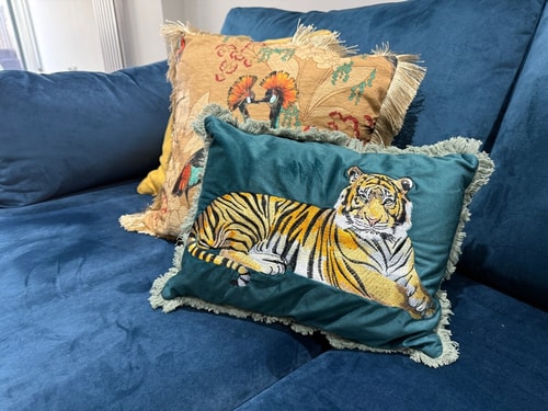 Luxurious House - Close To Centre - Pet Friendly